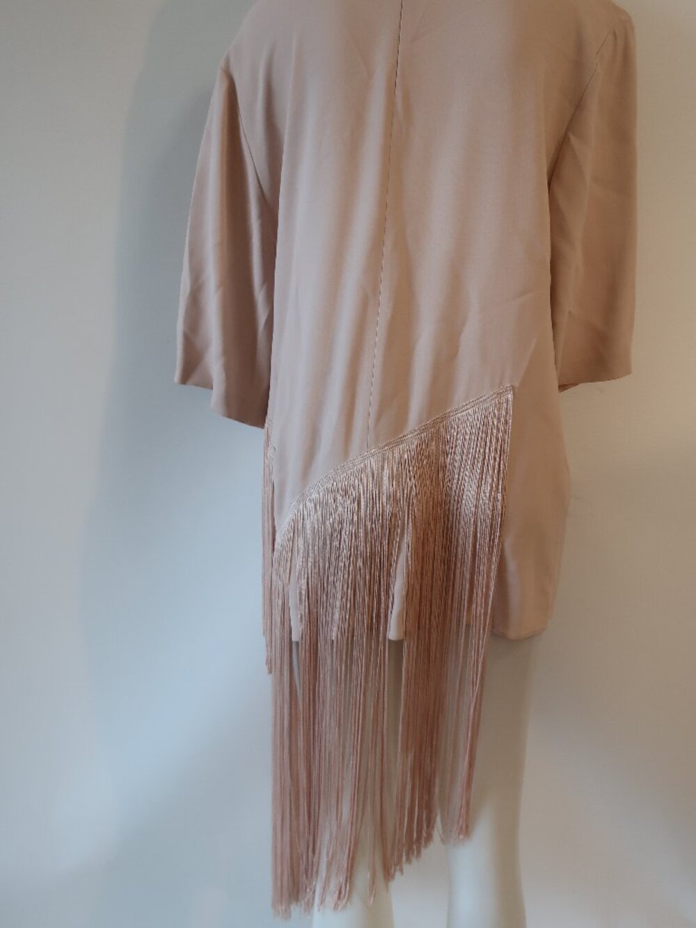 Stella McCartney Blush Fringe Asymmetric Tunic - Picture 8 of 16